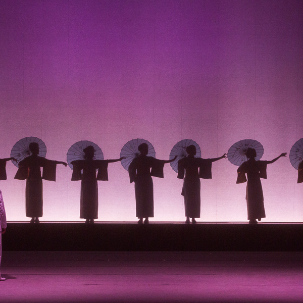 Butterfly 2019 foto di Fabio Parenzan-0116